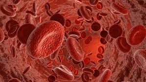 Somaderm HGH works by entering your bloodstream