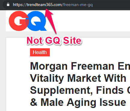 fake gq site
