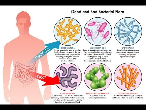 Synbiotic 365 seeks to restore the gut by adding good bacteria to your gut flora