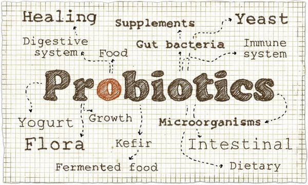 Probiotics, prebiotics, and synbiotics are good for gut health and constipations