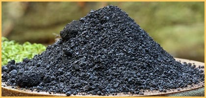 Shilajit is found in Workforce energy pills