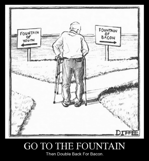 Despite what Membrane Integrity Factor says, here is no such thing as the fountain of youth, so head for the fountain of bacon
