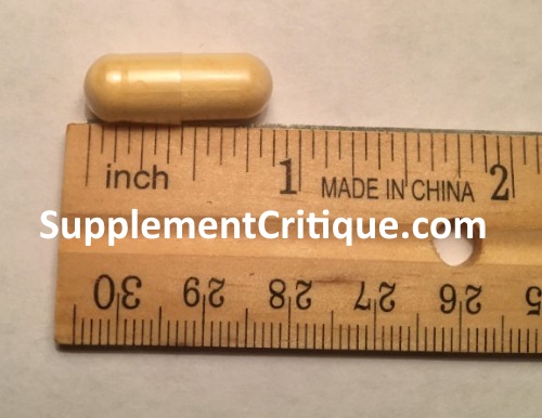 synbiotic 365 pill